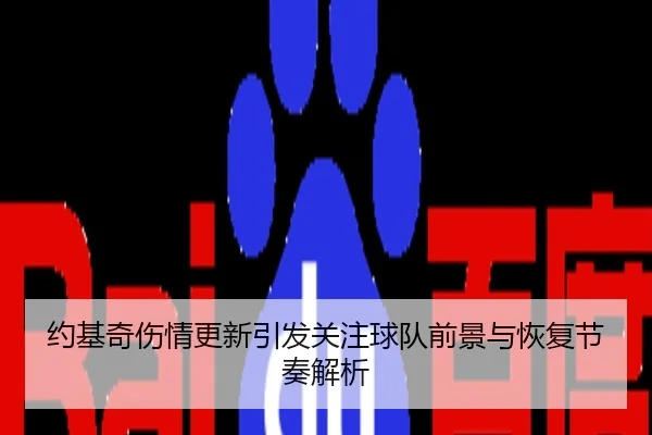 约基奇伤情更新引发关注球队前景与恢复节奏解析