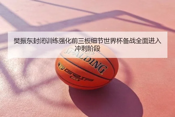 樊振东封闭训练强化前三板细节世界杯备战全面进入冲刺阶段